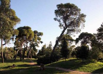 Σύστημα πυρανίχνευσης στα κτήματα Καρέλλα, Βορρέ και Συγγρού