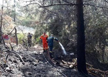 H παρέμβαση εθελοντών του Δήμου αντιμετώπισε πυρκαγιά στου Παπάγου
