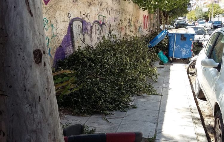 «Καμπανάκι» από τον Δήμο για τα κλαδέματα σε κοινόχρηστους χώρους
