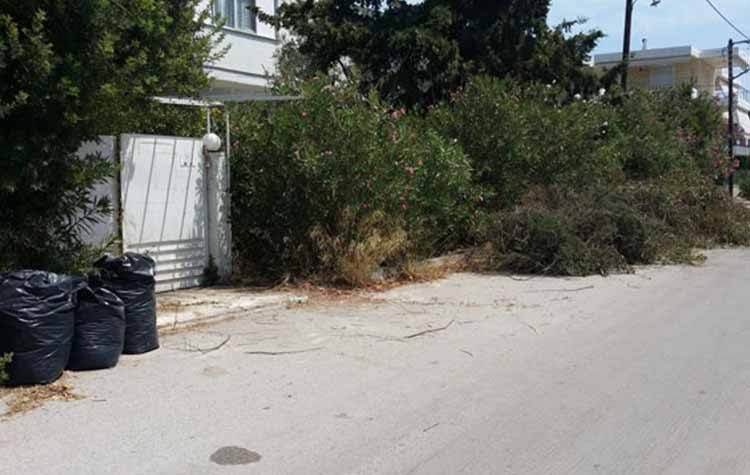 Έκκληση του Αντιδημάρχου Ηλία Τσουχνικά να σταματήσουν τα κλαδέματα