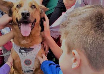 Παιδί και σκύλος: Γνωρίστε τους με τον σωστό τρόπο