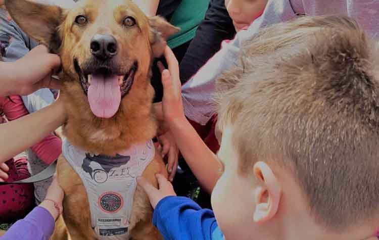 Παιδί και σκύλος: Γνωρίστε τους με τον σωστό τρόπο