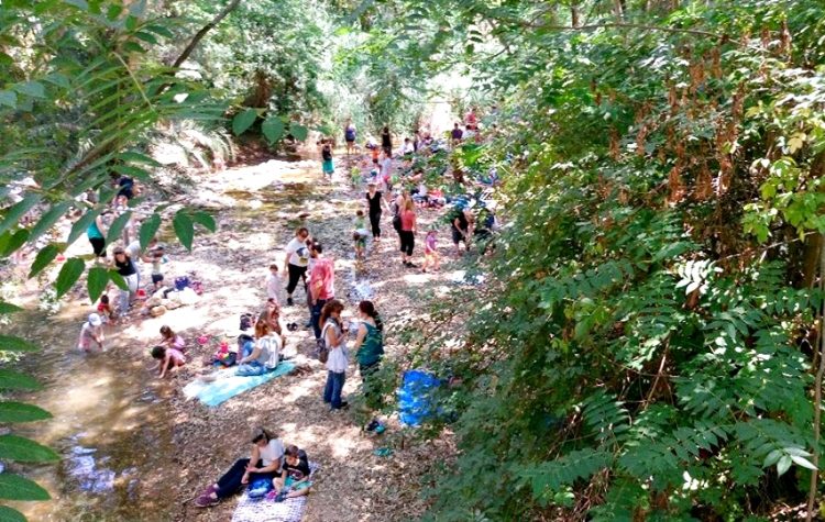 Μια Κυριακή κάτω από τα δέντρα της Ρεματιάς