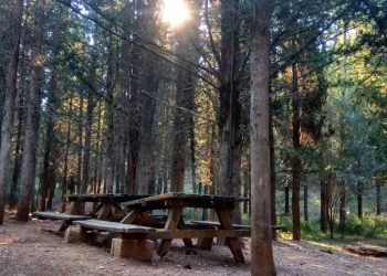 Πεζοπορία στο βουνό για τη μία δεκαετία δράσης