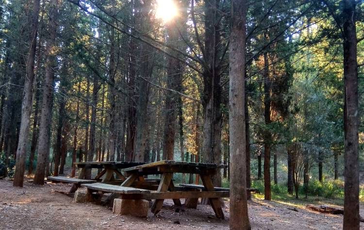 Πεζοπορία στο βουνό για τη μία δεκαετία δράσης