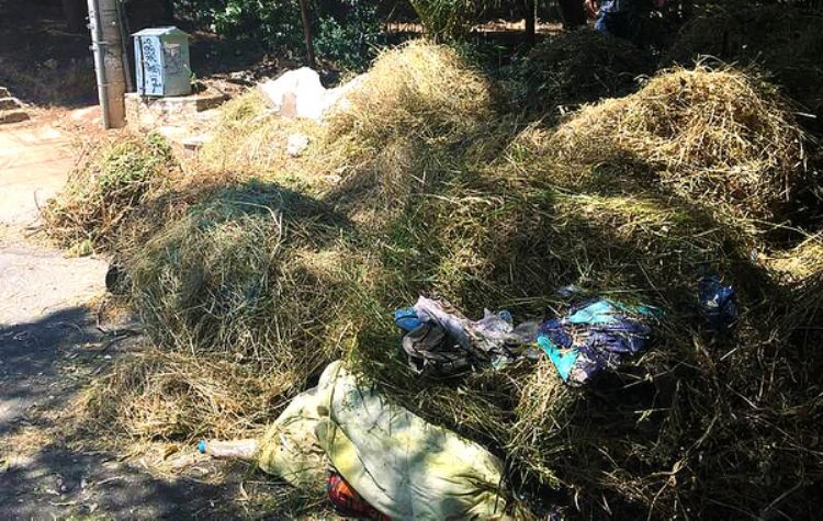 Εργασίες κατά τη διάρκεια της αντιπυρικής περιόδου