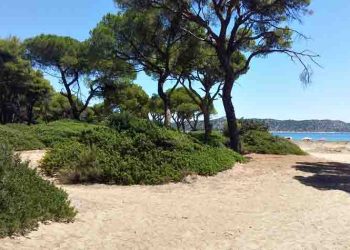 Στην παραλία (Νο 2)