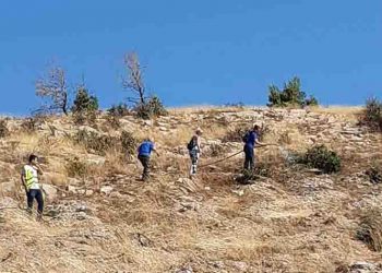 Σ.Π.Α.Π και εθελοντές έδωσαν ζωή στα χιλιάδες δέντρα της Νταού Πεντέλης