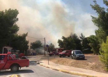 Φωτιές στη Ραφήνα και στον Βαρνάβα - Άμεση κινητοποίηση της Πυροσβεστικής