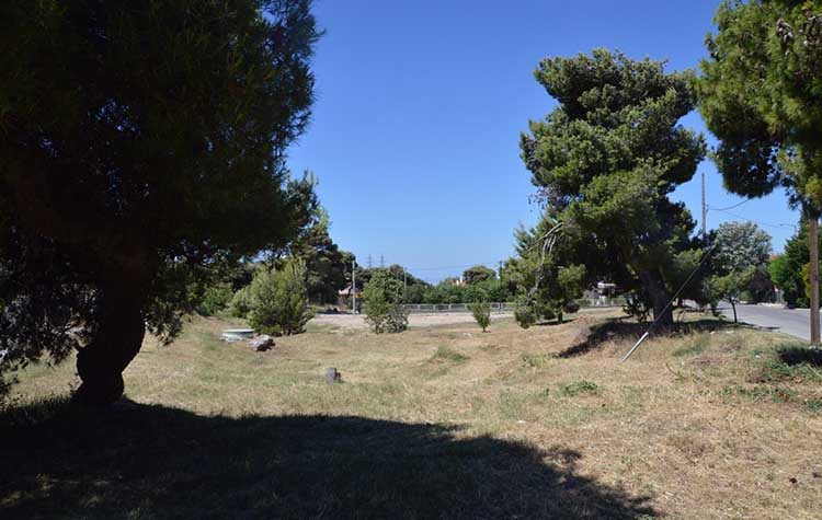 Συνεχίζονται οι κοπές ξερών χόρτων στη Πεντέλη από τον ΣΠΑΠ