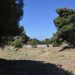 Συνεχίζονται οι κοπές ξερών χόρτων στη Πεντέλη από τον ΣΠΑΠ