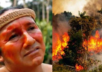 Αμαζόνιος: Κραυγή αγωνίας για την καταστροφή