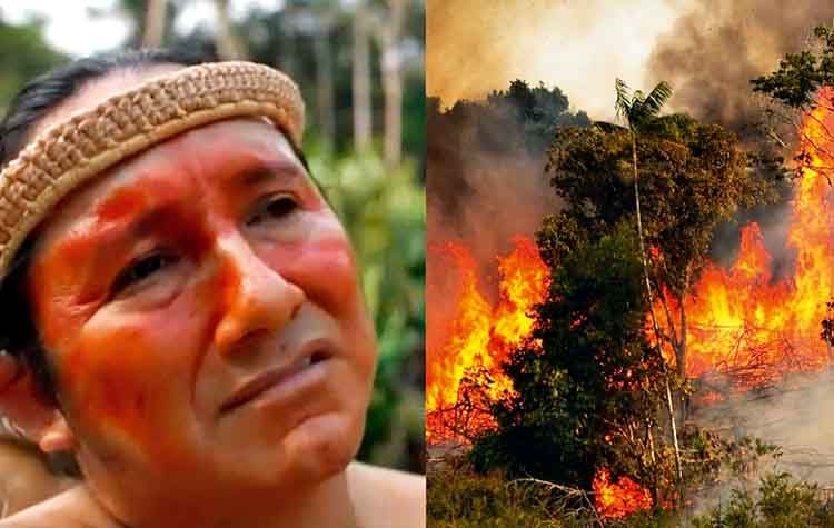 Αμαζόνιος: Κραυγή αγωνίας για την καταστροφή