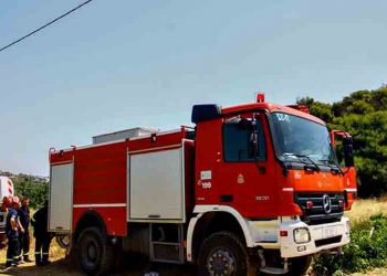 Φωτιά στην Αρτέμιδα Aττικής και στους Δελφούς Φωκίδας