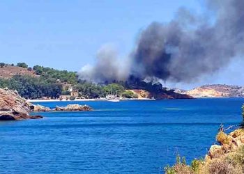 Πυρκαγιές σε Λέρο, Νέα Μανωλάδα, Μεγαλόπολη, Ασπρόπυργο, Κέρκυρα