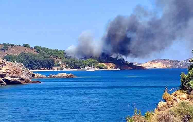 Πυρκαγιές σε Λέρο, Νέα Μανωλάδα, Μεγαλόπολη, Ασπρόπυργο, Κέρκυρα