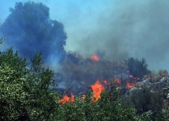 Ο ΙΣΑ προς τις ευπαθείς ομάδες που εκτίθενται στον καπνό από πυρκαγιές