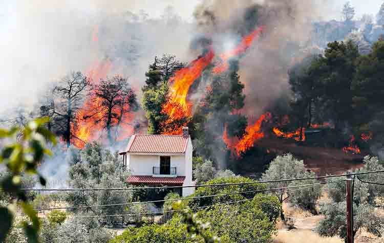 Eύβοια: Καήκαν, αλλά… σωθήκαν