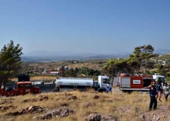 Ολοκληρώθηκε με επιτυχία ακόμα ένα Εθελοντικό Πότισμα του ΣΠΑΠ  στο Πεντελικό