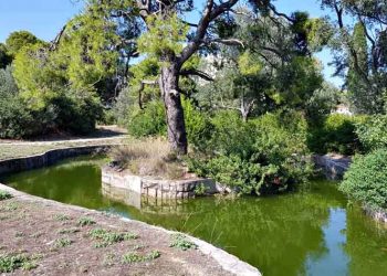 «Λαϊκή Συσπείρωση»: «Το δάσος Συγγρού ξανά στο στόχαστρο του κεφαλαίου»