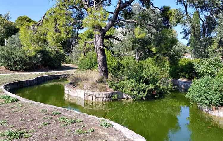 «Λαϊκή Συσπείρωση»: «Το δάσος Συγγρού ξανά στο στόχαστρο του κεφαλαίου»