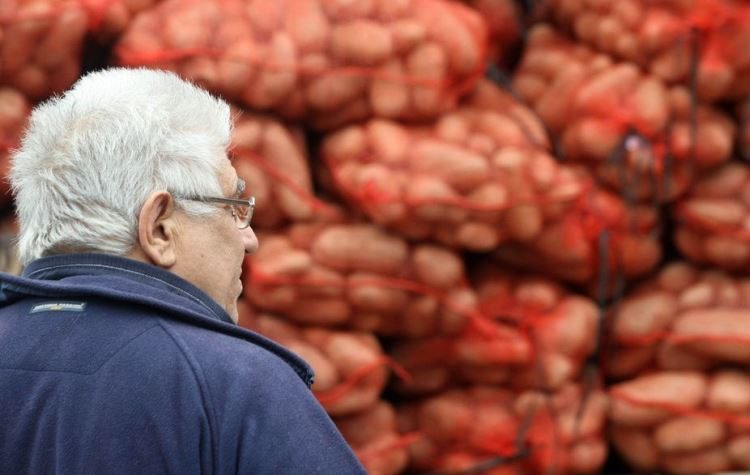 Συνεταιρισμός «Πανδώρα»: Η ώρα για την πρώτη φθινοπωρινή διάθεση προϊόντων