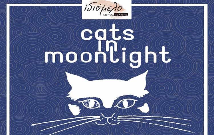 «Cats in the moonlight» στο Ιδιόμελο