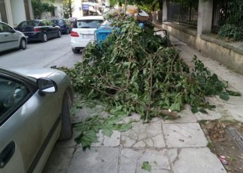 «Χρειάζεται έγκαιρη ενημέρωση των υπηρεσιών για τα πράσινα απορρίμματα»