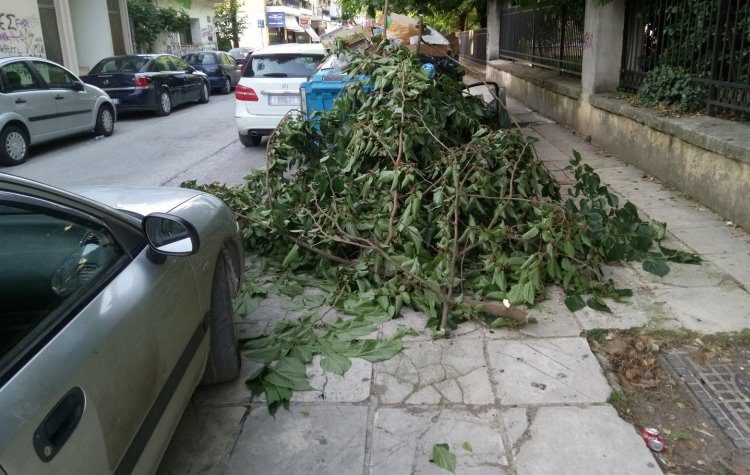 «Χρειάζεται έγκαιρη ενημέρωση των υπηρεσιών για τα πράσινα απορρίμματα»