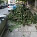 «Χρειάζεται έγκαιρη ενημέρωση των υπηρεσιών για τα πράσινα απορρίμματα»