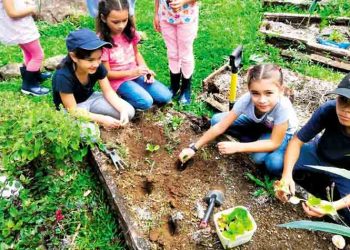 «Η πόλη που μαθαίνει» Ένα πρωτότυπο κοινωνικό πείραμα με εντυπωσιακά αποτελέσματα