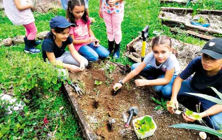 «Η πόλη που μαθαίνει» Ένα πρωτότυπο κοινωνικό πείραμα με εντυπωσιακά αποτελέσματα