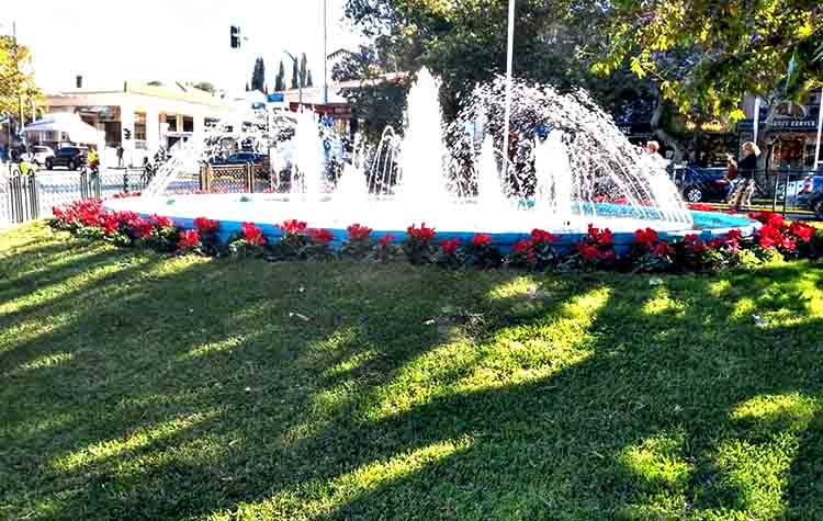 Παρεμβάσεις της Διεύθυνσης Πρασίνου δίνουν χρώμα στον Δήμο