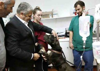 Γ. Πατούλης: «Θα συνεργαστούμε με κάθε φιλοζωική οργάνωση»