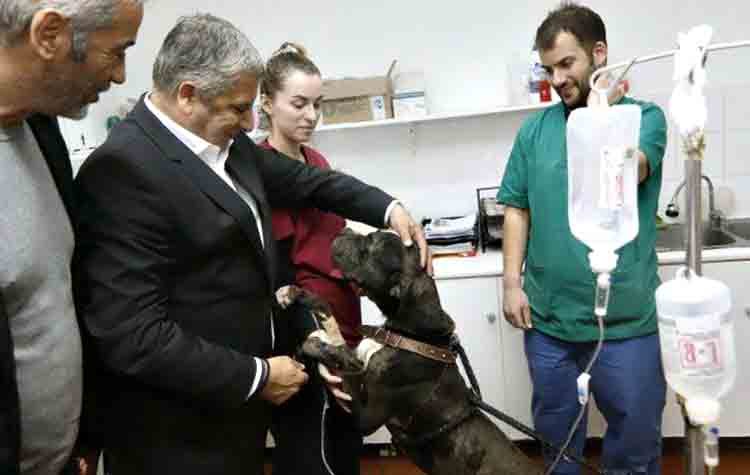 Γ. Πατούλης: «Θα συνεργαστούμε με κάθε φιλοζωική οργάνωση»