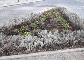 Διπλή «πράσινη» παρέμβαση του Δήμου στην οδό Κύπρου