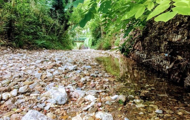 Σύλλογος Ρεματιάς: Παρέμβαση για το ΣΒΑΚ του Δήμου με διπλό μήνυμα