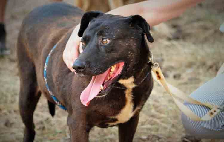 Η Σέλμα αναζητά οικογένεια