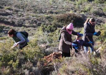 Εθελοντική αναδάσωση την Κυριακή 24 Νοεμβρίου από τον ΣΠΑΠ