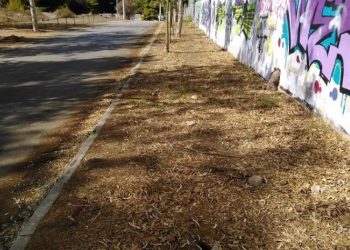 Ηλ. Αποστολόπουλος: «Να ενώσουμε τις φωνές μας ενάντια στον ρατσισμό»