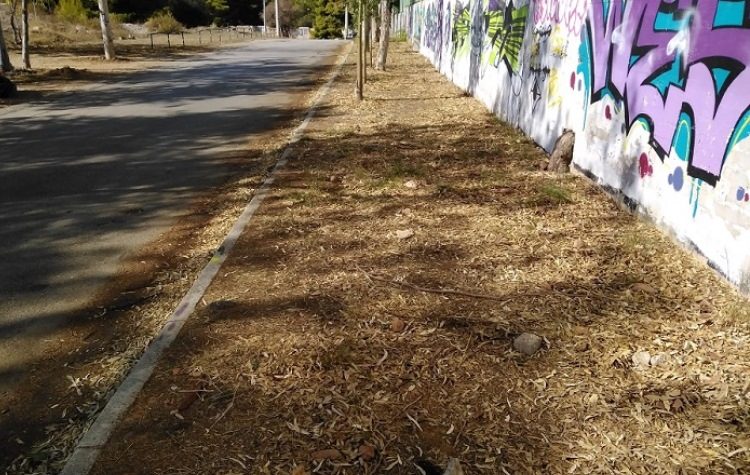 Ηλ. Αποστολόπουλος: «Να ενώσουμε τις φωνές μας ενάντια στον ρατσισμό»