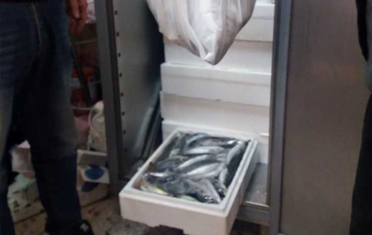 Κοινωνικό Παντοπωλείο Αμαρουσίου: Διανομή τροφίμων και αλιευμάτων