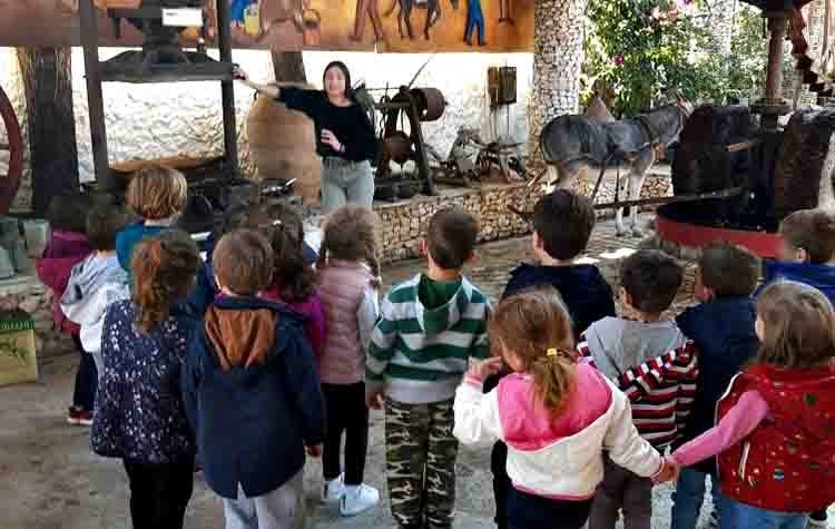 Τον «θησαυρό της ελιάς» ανακάλυψαν οι Παιδικοί Σταθμοί του Δήμου