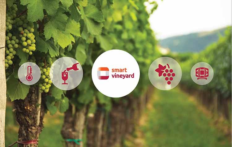 Η WATT+VOLT λανσάρει έναν «smart» βοηθό για κάθε καλλιέργεια και αμπελώνα