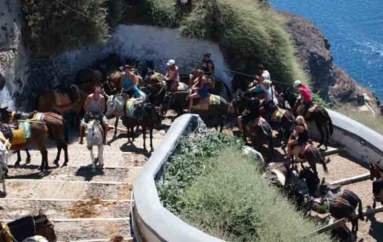 Απάντηση Βορίδη στον Tommy Lee για τα γαϊδουράκια της Σαντορίνης