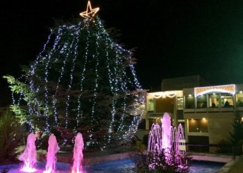 Ο Δήμος φωτίζει το χριστουγεννιάτικο δέντρο του
