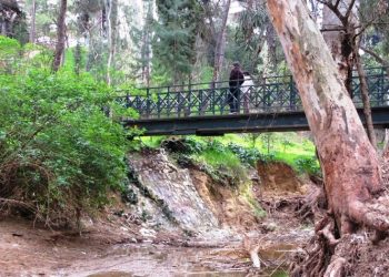 Η Ρεματιά μπαίνει στα σχολικά  προγράμματα  για το περιβάλλον