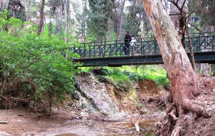 Η Ρεματιά μπαίνει στα σχολικά  προγράμματα  για το περιβάλλον