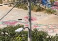Καταγγελία δημότη για το γηπεδάκι των οδών Βελισσαρίου και Κωνσταντινουπόλεως
