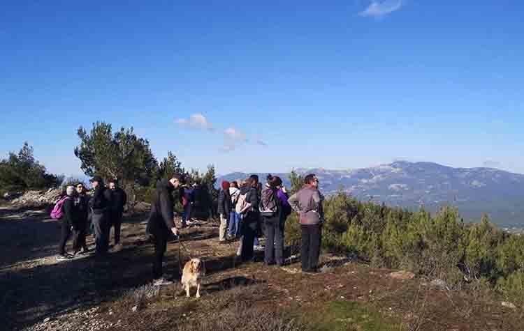Πεζοπορία με χριστουγεννιάτικη διάθεση στο Πεντελικό